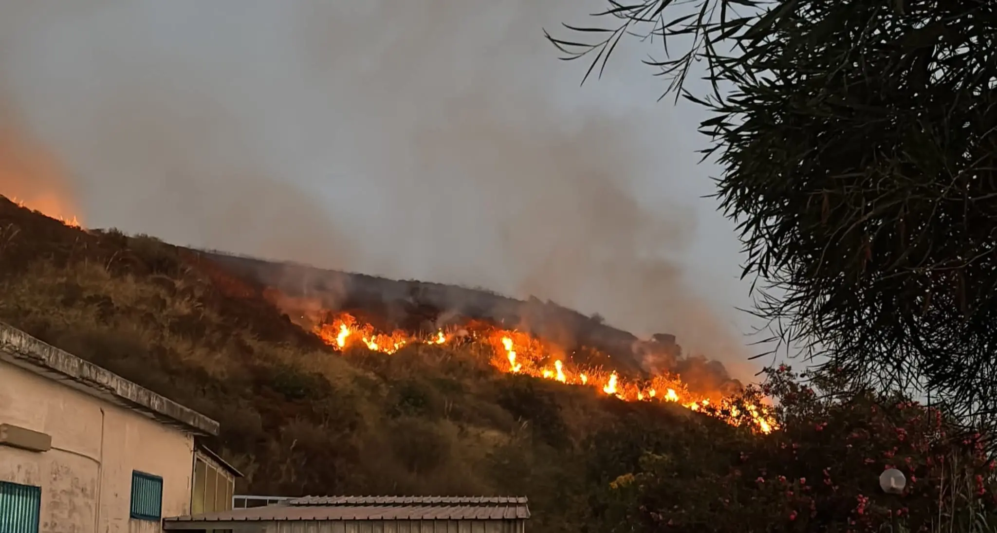 Incendio tra Diamante e Belvedere Marittimo, emergenza sul Tirreno: «Ore difficili per la Calabria»\n