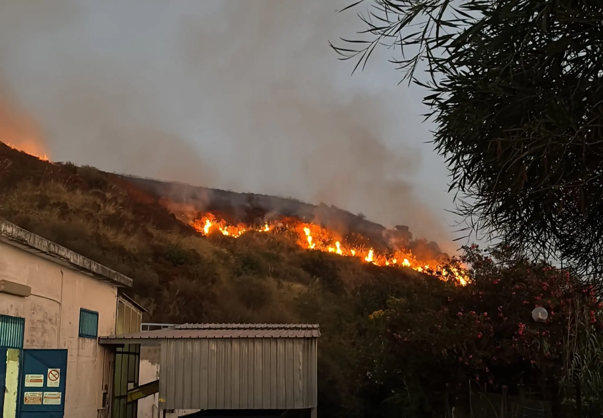 Incendio tra Diamante e Belvedere Marittimo, emergenza sul Tirreno: «Ore difficili per la Calabria»\n