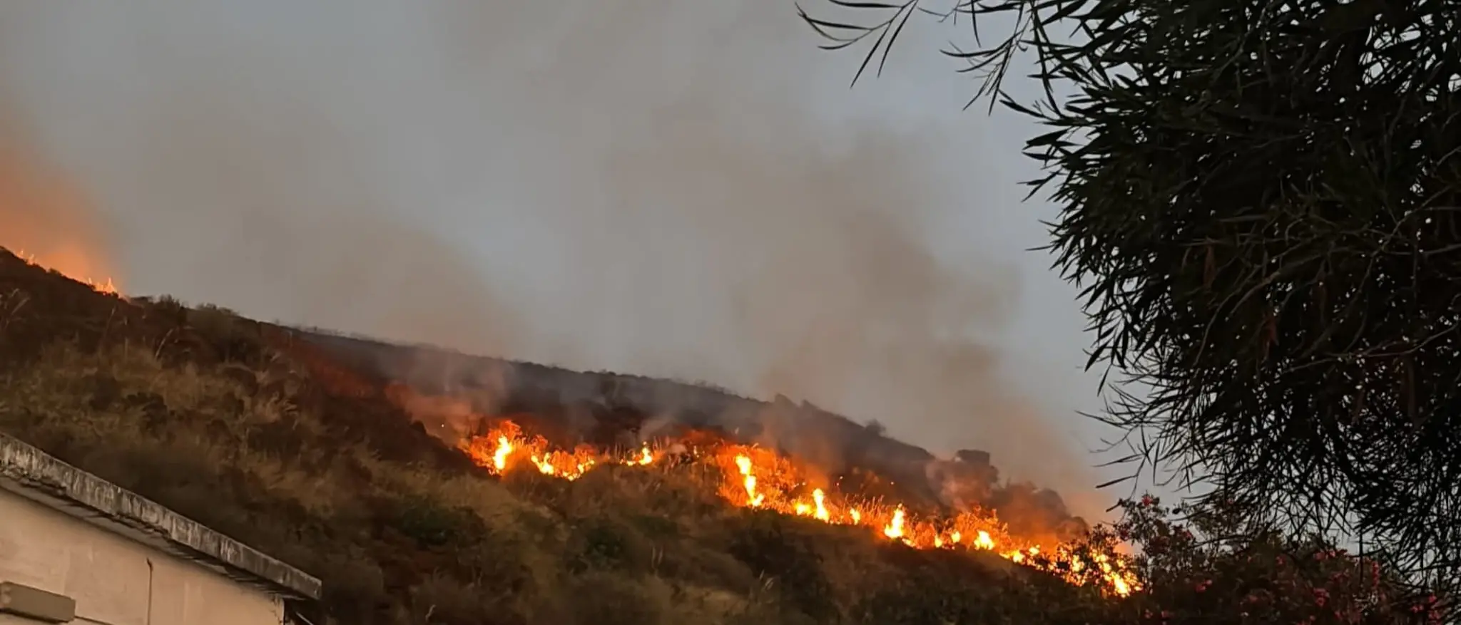 Incendio tra Diamante e Belvedere Marittimo, emergenza sul Tirreno: «Ore difficili per la Calabria»\n