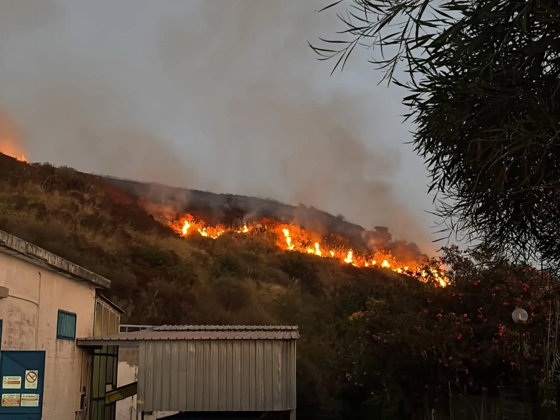 Incendio tra Diamante e Belvedere Marittimo, emergenza sul Tirreno: «Ore difficili per la Calabria»