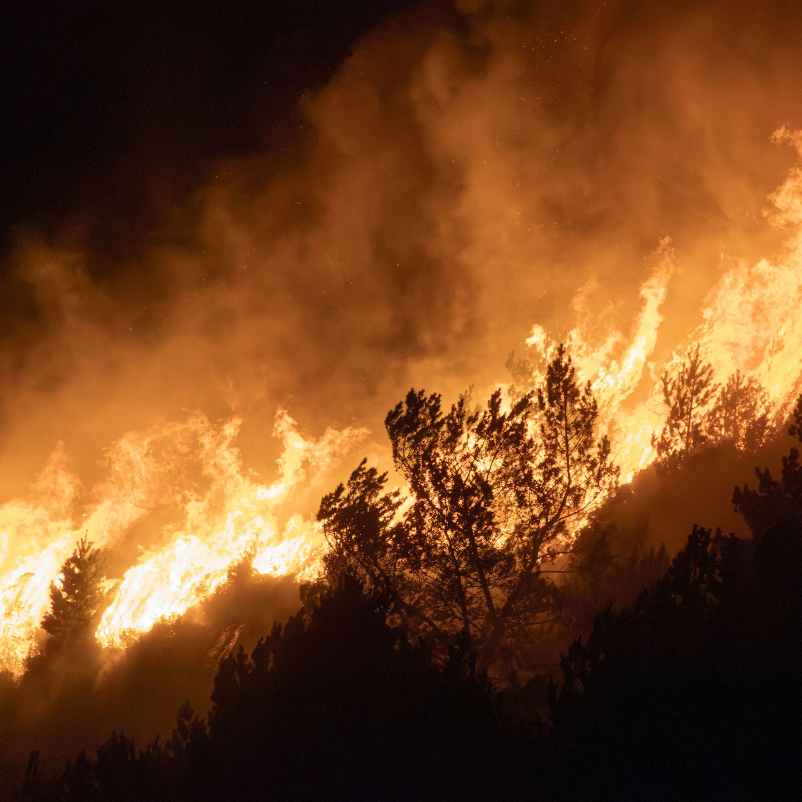 Grecia in fiamme, a Creta evacuate 8mila persone.\u00A0Forti venti impediscono l’intervento dei mezzi aerei\n