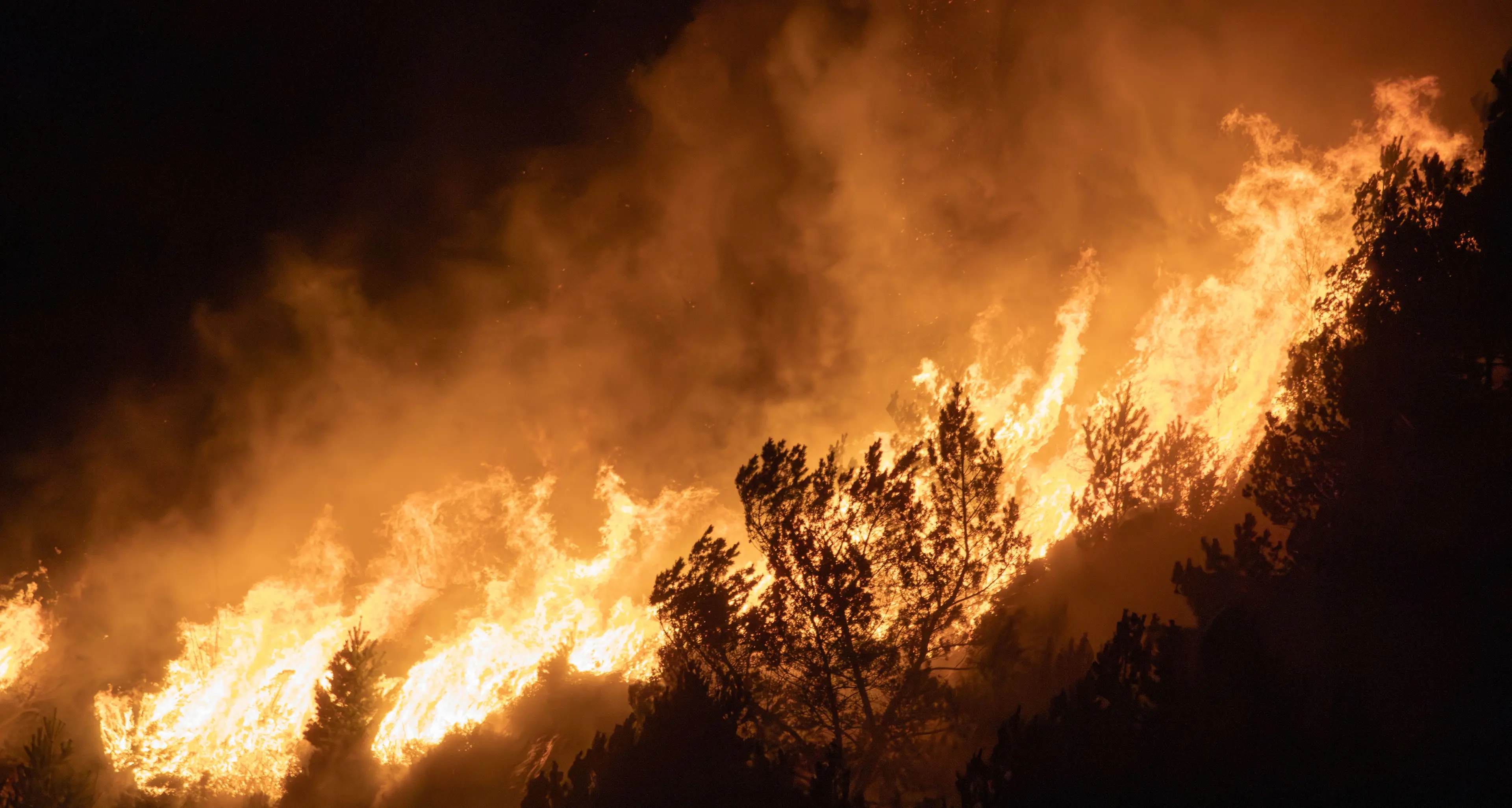 Grecia in fiamme, a Creta evacuate 8mila persone.\u00A0Forti venti impediscono l’intervento dei mezzi aerei\n