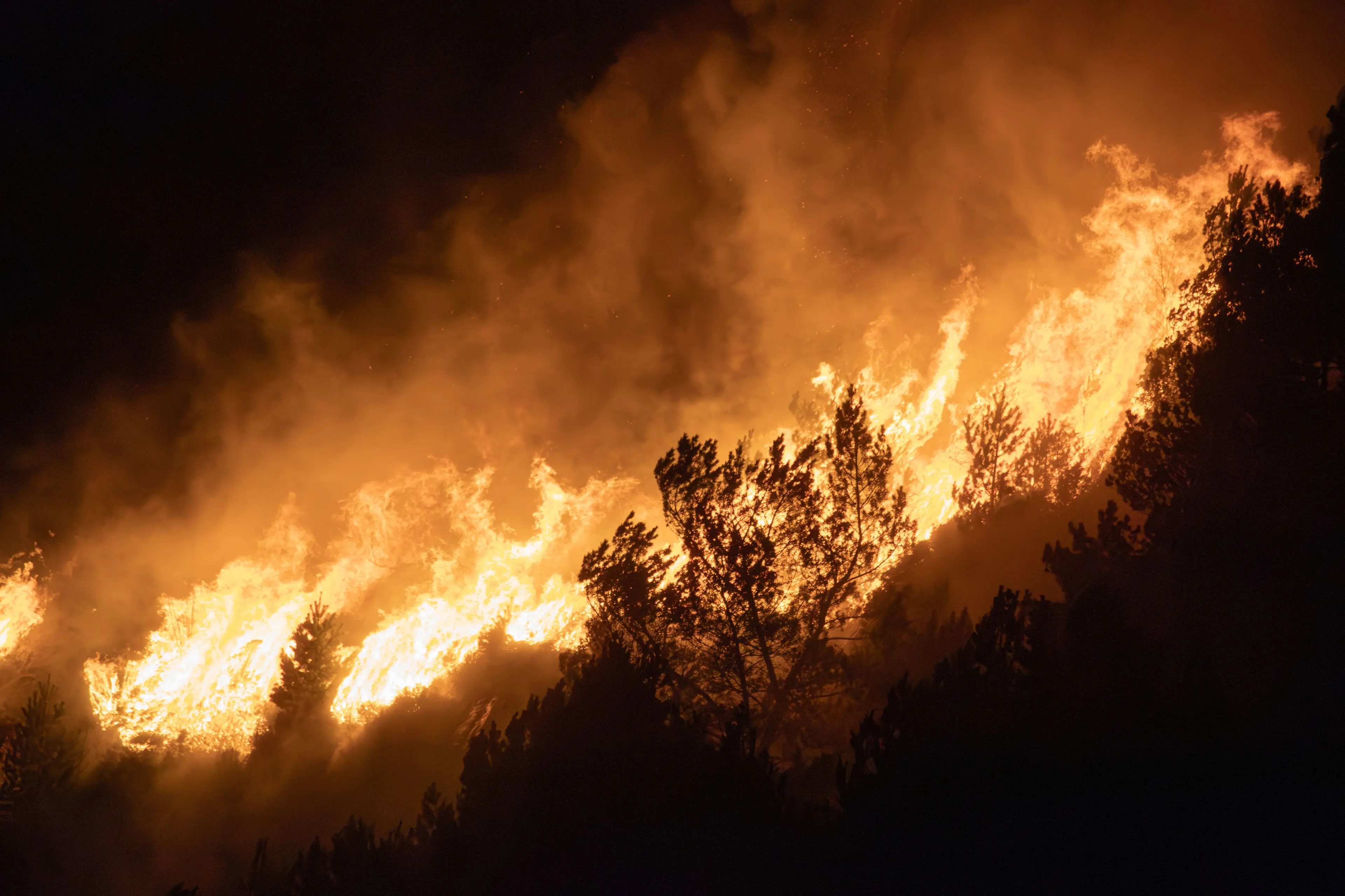 Grecia in fiamme, a Creta evacuate 8mila persone.\u00A0Forti venti impediscono l’intervento dei mezzi aerei\n