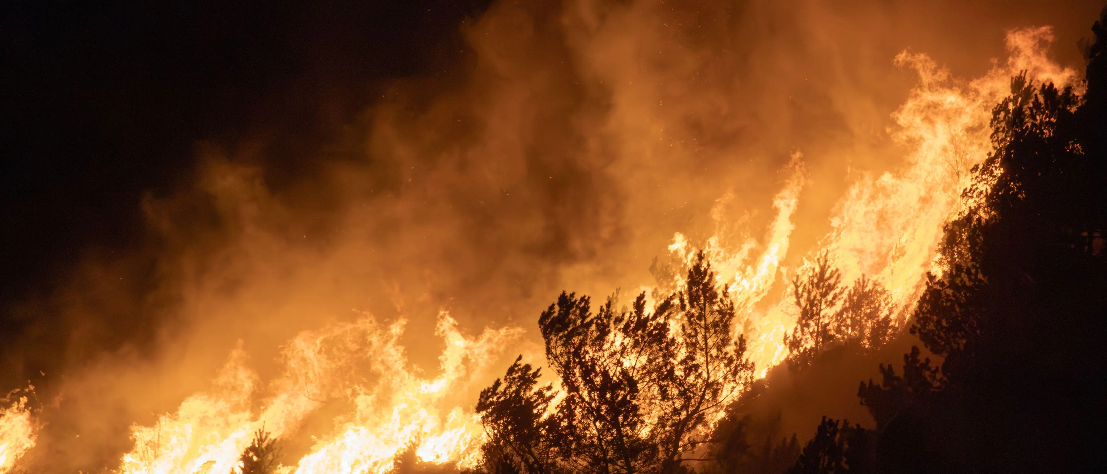 Grecia in fiamme, a Creta evacuate 8mila persone.\u00A0Forti venti impediscono l’intervento dei mezzi aerei\n