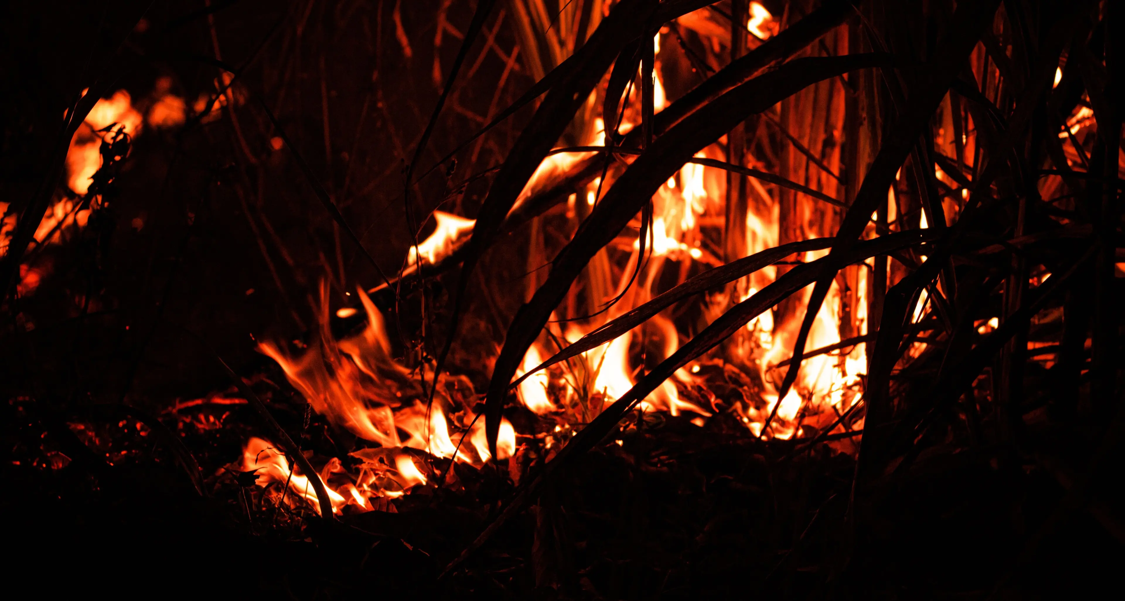 <p>In Calabria nasce Panorama, l'intelligenza artificiale di Tech4you che <span style=\"color:hsl(0, 75%, 60%);\">individua gli incendi </span>e allerta i soccorsi in tempo reale</p>