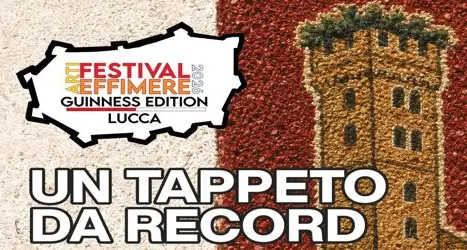 Festival Arti Effimere Guinness Edition Lucca 2026: l'Infiorata di Taurianova ospite d’onore\n