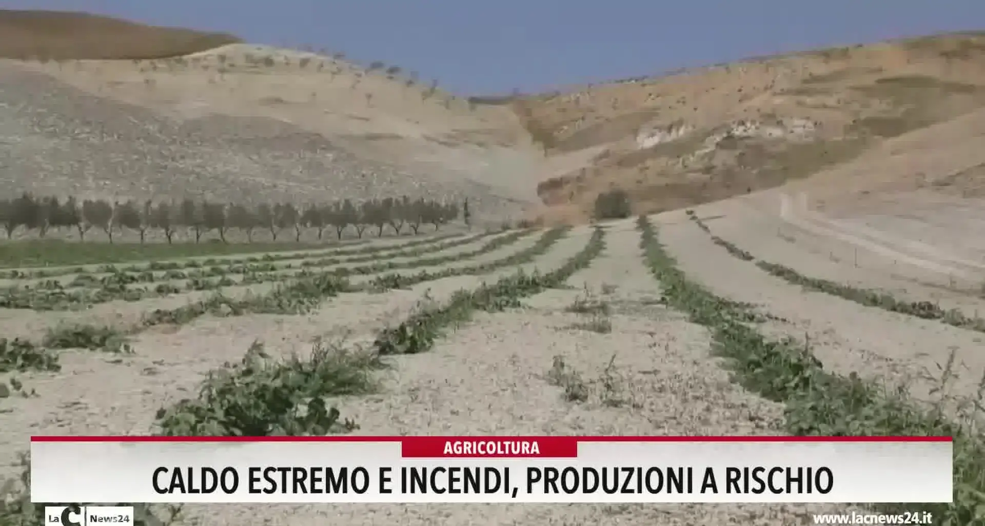 Caldo estremo e incendi, produzioni a rischio