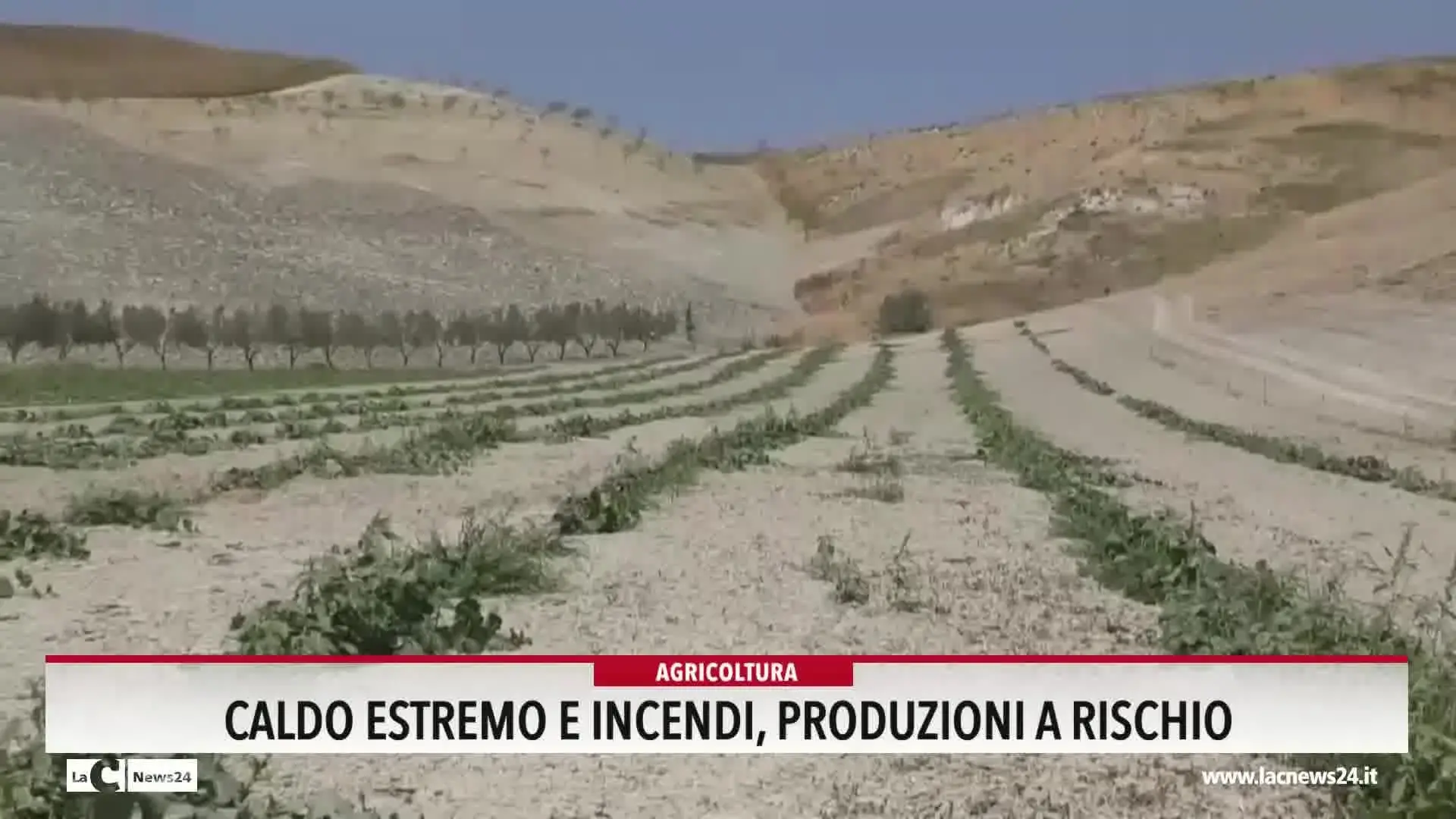 Caldo estremo e incendi, produzioni a rischio