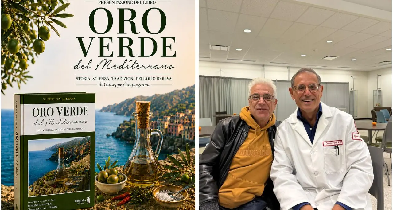 Monterosso Calabro, l’olio extravergine tra storia e scienza: arriva “Oro Verde del Mediterraneo” con diversi ospiti\n
