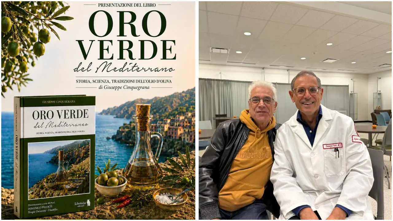 Monterosso Calabro, l’olio extravergine tra storia e scienza: arriva “Oro Verde del Mediterraneo” con diversi ospiti\n