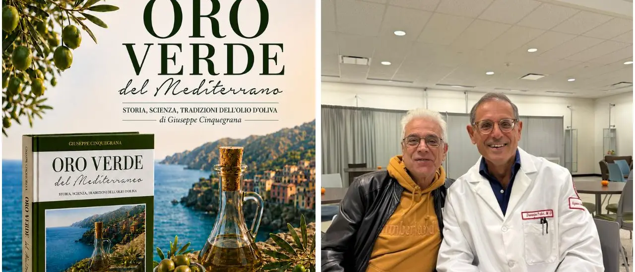 Monterosso Calabro, l’olio extravergine tra storia e scienza: arriva “Oro Verde del Mediterraneo” con diversi ospiti\n