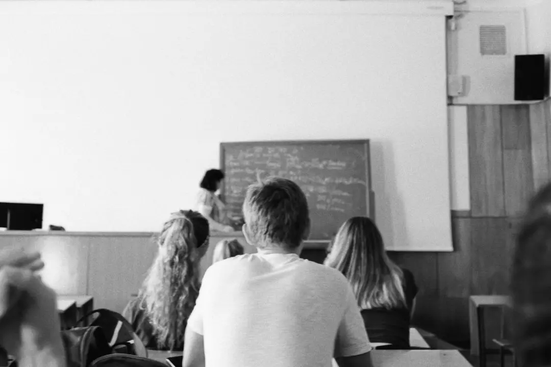Scuole, in Calabria il posto fisso è una chimera: solo 163 assunti a tempo indeterminato dal 2015\n