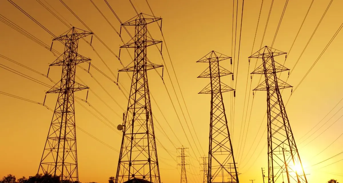 Interruzioni di energia elettrica in Calabria, Adiconsum:\u00A0«Regione si faccia promotrice di un tavolo di confronto»\n