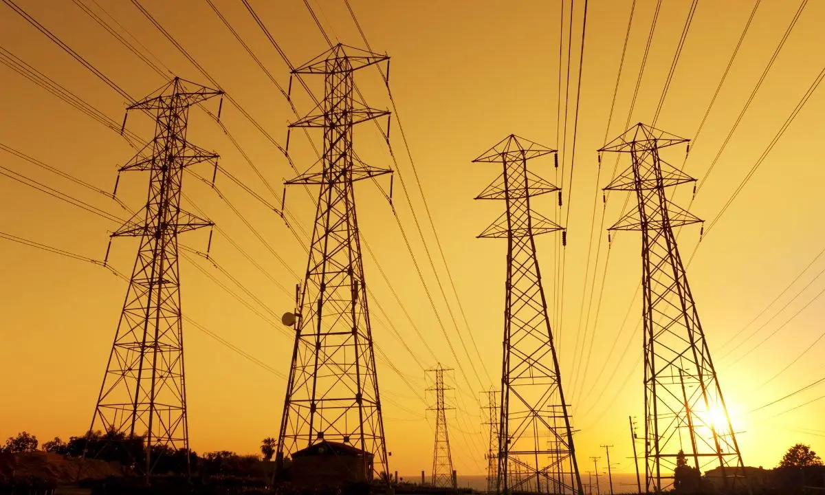 Interruzioni di energia elettrica in Calabria, Adiconsum:\u00A0«Regione si faccia promotrice di un tavolo di confronto»\n
