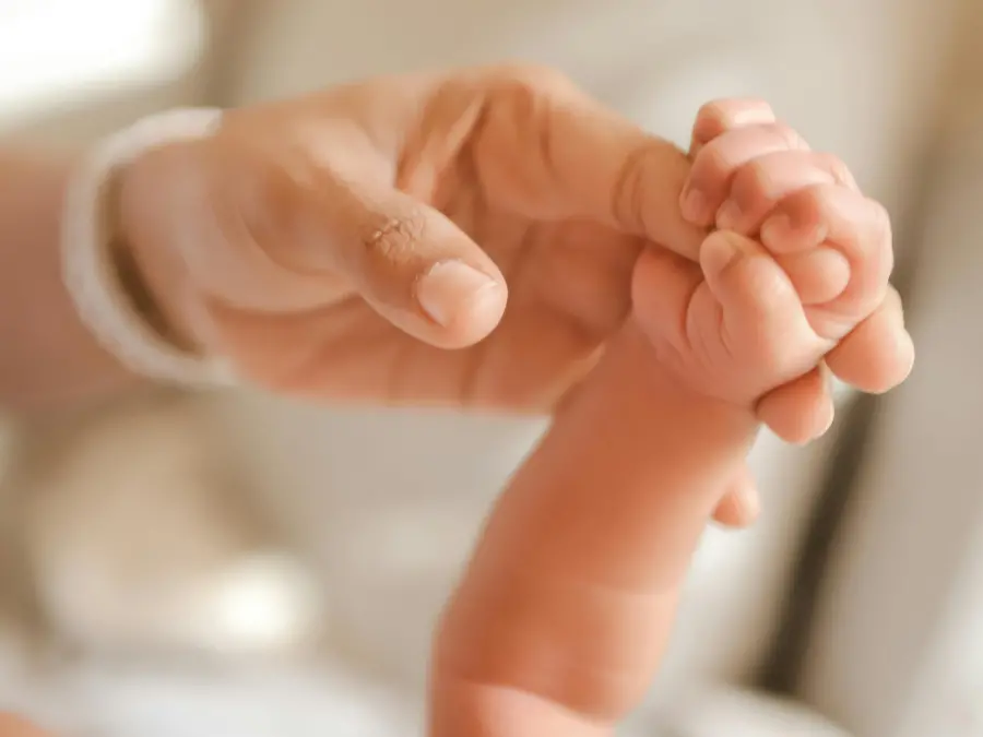Gemellini affetti da una rara sindrome salvati nel grembo della mamma grazie alla sinergia tra Cosenza e Milano