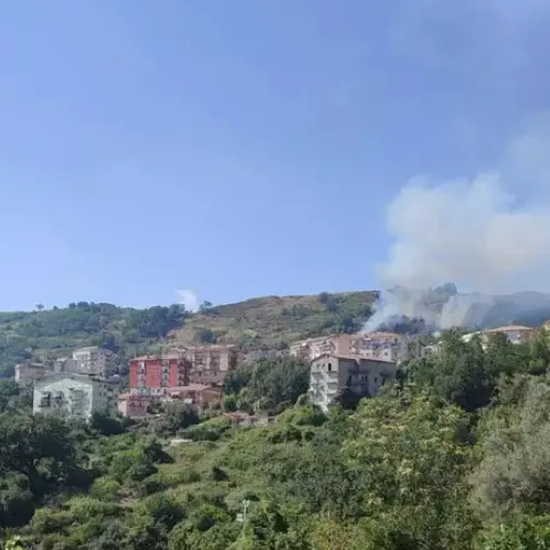 Apprensione a Verbicaro, incendio minaccia alcune case: vigili del fuoco al lavoro senza sosta\n