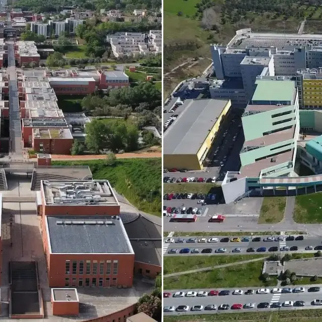 Scienze della Formazione primaria, via al nuovo corso interateneo UniCal-Università Magna Graecia: più posti e meno fuga di studenti\n
