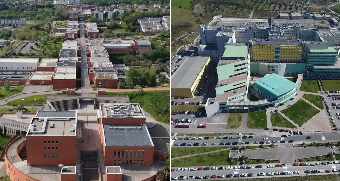 Scienze della Formazione primaria, via al nuovo corso interateneo UniCal-Università Magna Graecia: più posti e meno fuga di studenti\n