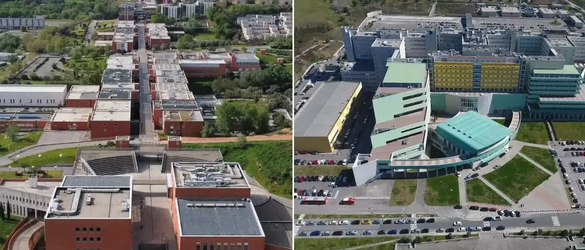 Scienze della Formazione primaria, via al nuovo corso interateneo UniCal-Università Magna Graecia: più posti e meno fuga di studenti\n