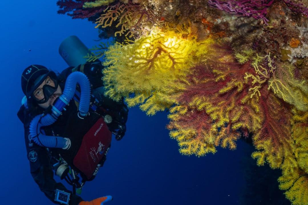 Andrea Murdock Alpini si immerge nei fondali della Calabria, tra relitti e correnti, in cerca di un ecosistema da tutelare