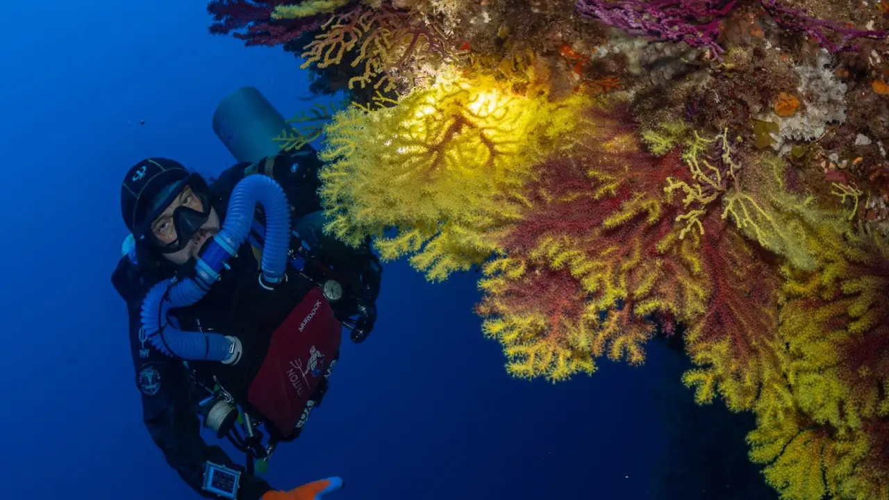 <p>Andrea Murdock Alpini, immersione alla Secca d'Ulisse Scilla (foto di Francesco Paolo Macchiarella)</p>\\n