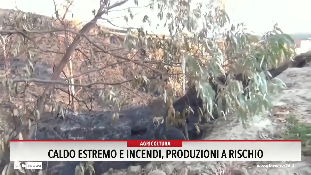 Caldo estremo e incendi, produzioni a rischio
