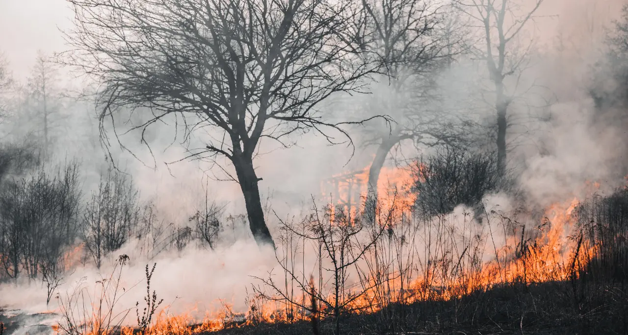 Il Parco del Pollino brucia da dieci giorni, i residenti: «Un inferno, costretti a vivere con le finestre chiuse»\n