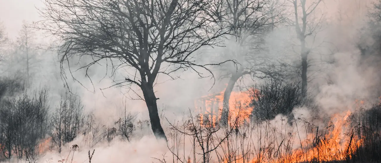 Il Parco del Pollino brucia da dieci giorni, i residenti: «Un inferno, costretti a vivere con le finestre chiuse»\n