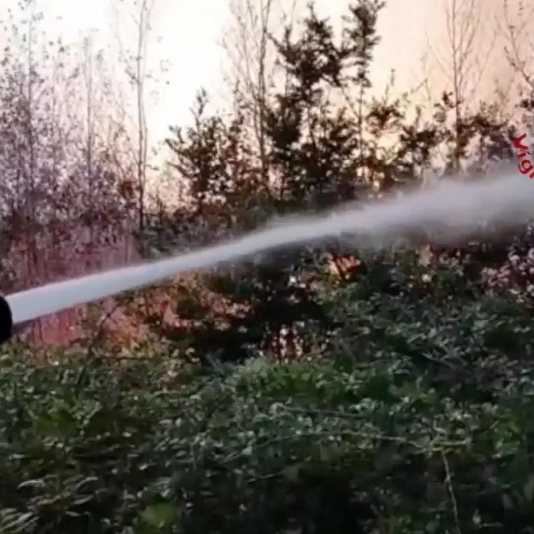 Incendio vicino all’A2 a Firmo, fumo in carreggiata: autostrada chiusa in entrambe le direzioni\n