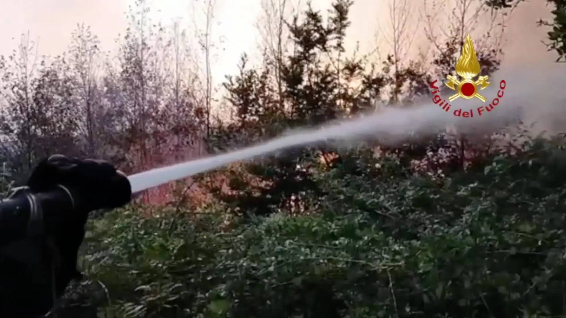 Incendio vicino all’A2 a Firmo, fumo in carreggiata: autostrada chiusa in entrambe le direzioni\n