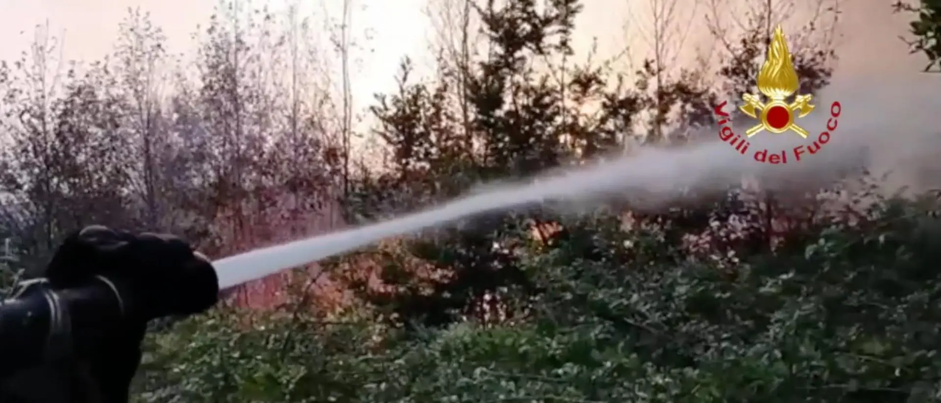 Incendio vicino all’A2 a Firmo, fumo in carreggiata: autostrada chiusa in entrambe le direzioni\n