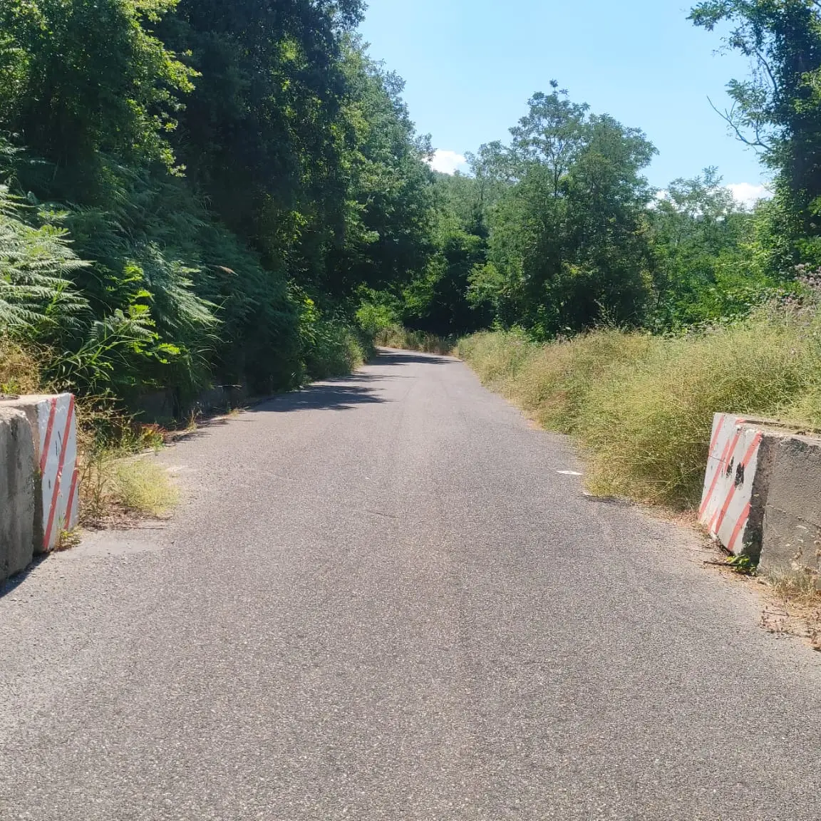 In arrivo 3 milioni di euro per le strade di 20 comuni calabresi, Ferro:\u00A0«Più sicurezza e collegamenti» –\u00A0L’ELENCO\n