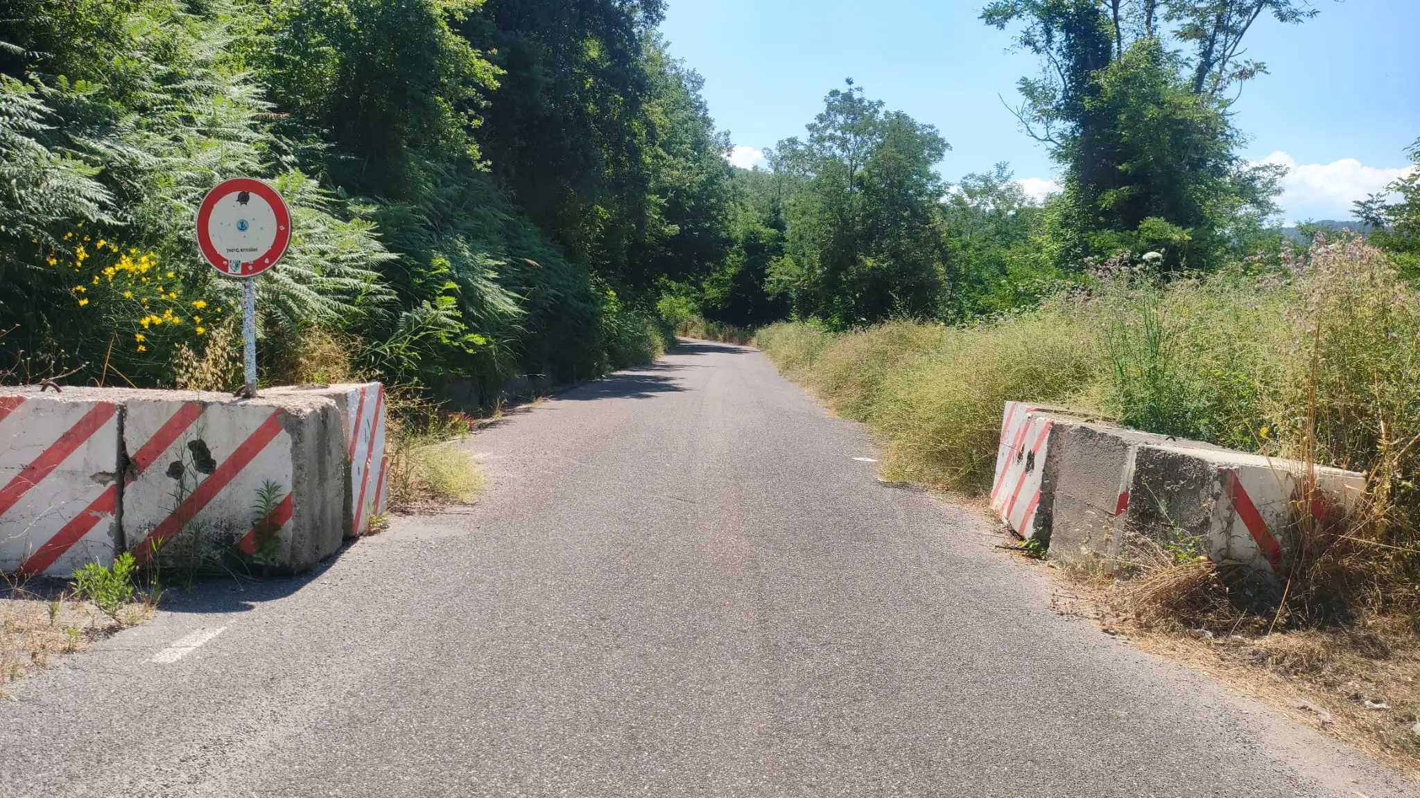 In arrivo 3 milioni di euro per le strade di 20 comuni calabresi, Ferro:\u00A0«Più sicurezza e collegamenti» –\u00A0L’ELENCO\n