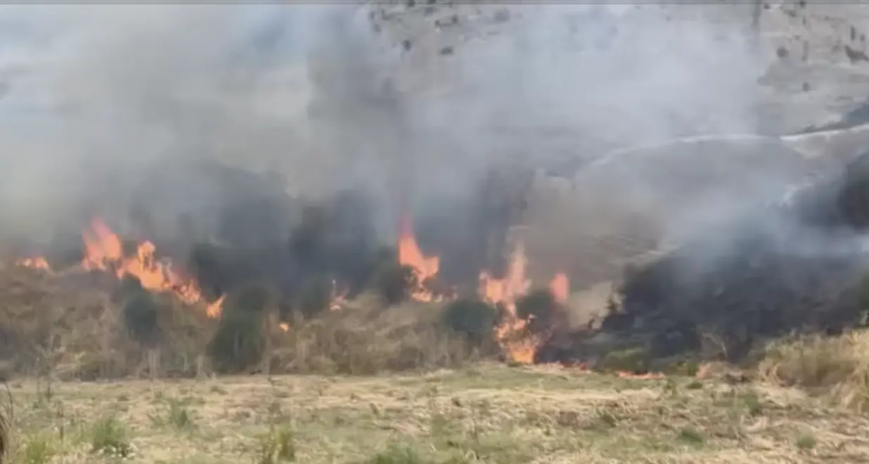 Bisignano, incendio di fianco al cimitero. Sindaco furioso