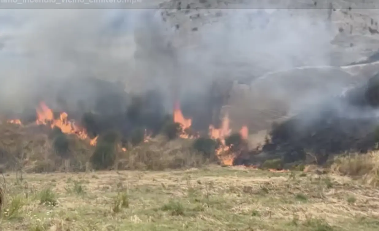 Bisignano, incendio di fianco al cimitero. Sindaco furioso