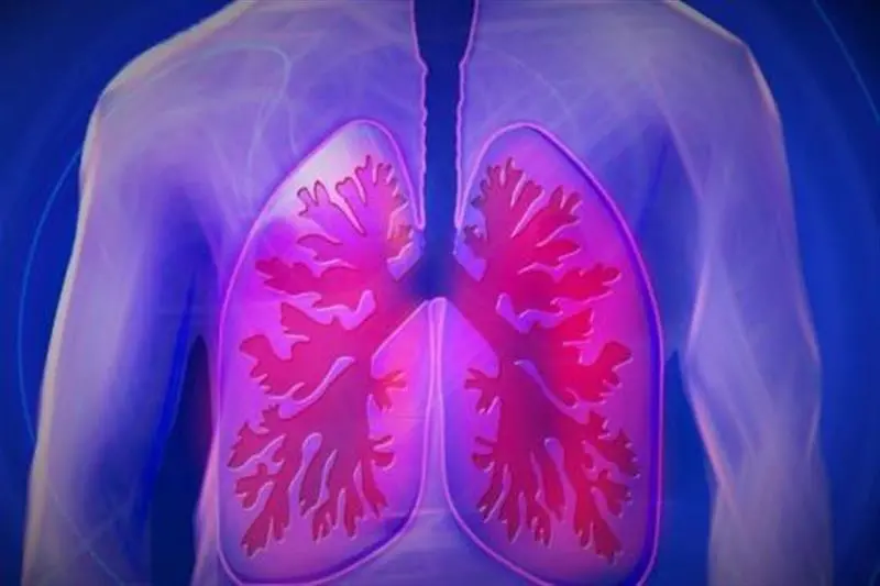 Da Simeri Crichi a Cambridge: così Gaia vuole performare una AI nelle diagnosi respiratorie