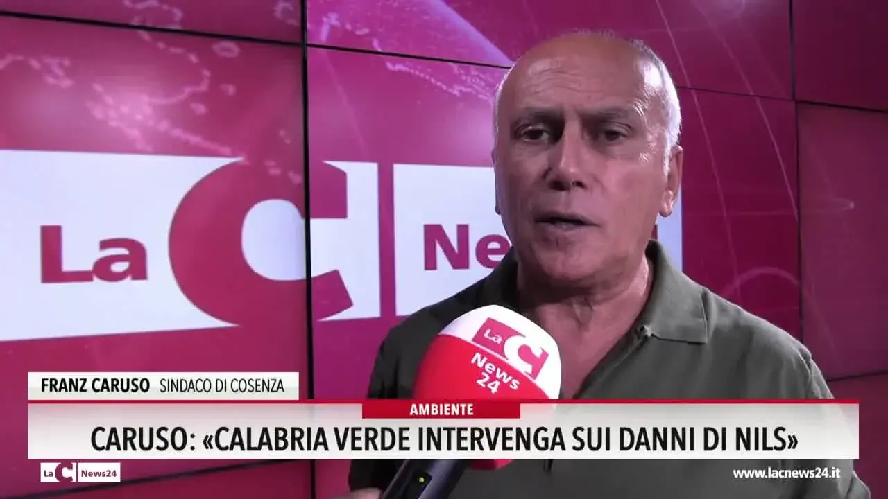 Caruso: «Calabria Verde intervenga sui danni di Nils»