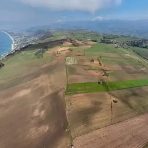 <p>Piana degli Scrisi, Friel mette le mani avanti: «L’agrivoltaico non cancellerà i campi». La Regione: «Precisazione inutile»</p>
