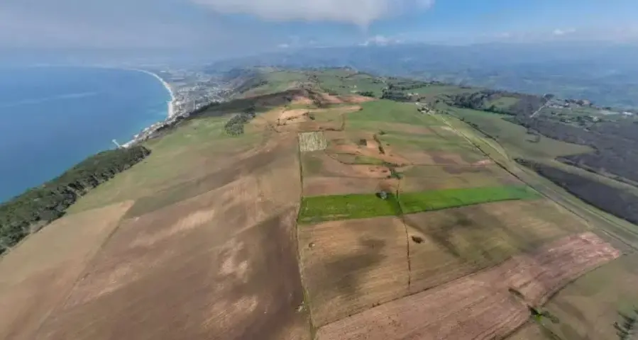 <p>Piana degli Scrisi, Friel mette le mani avanti: «<span style=\"color:hsl(0, 75%, 60%);\">L’agrivoltaico non cancellerà i campi</span>». La Regione: «Precisazione inutile»</p>