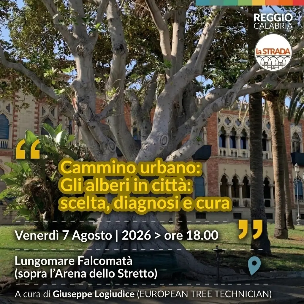 “La Strada”\u00A0organizza un Cammino urbano\u00A0sul Lungomare Falcomatà per conoscere e tutelare gli alberi cittadini\n