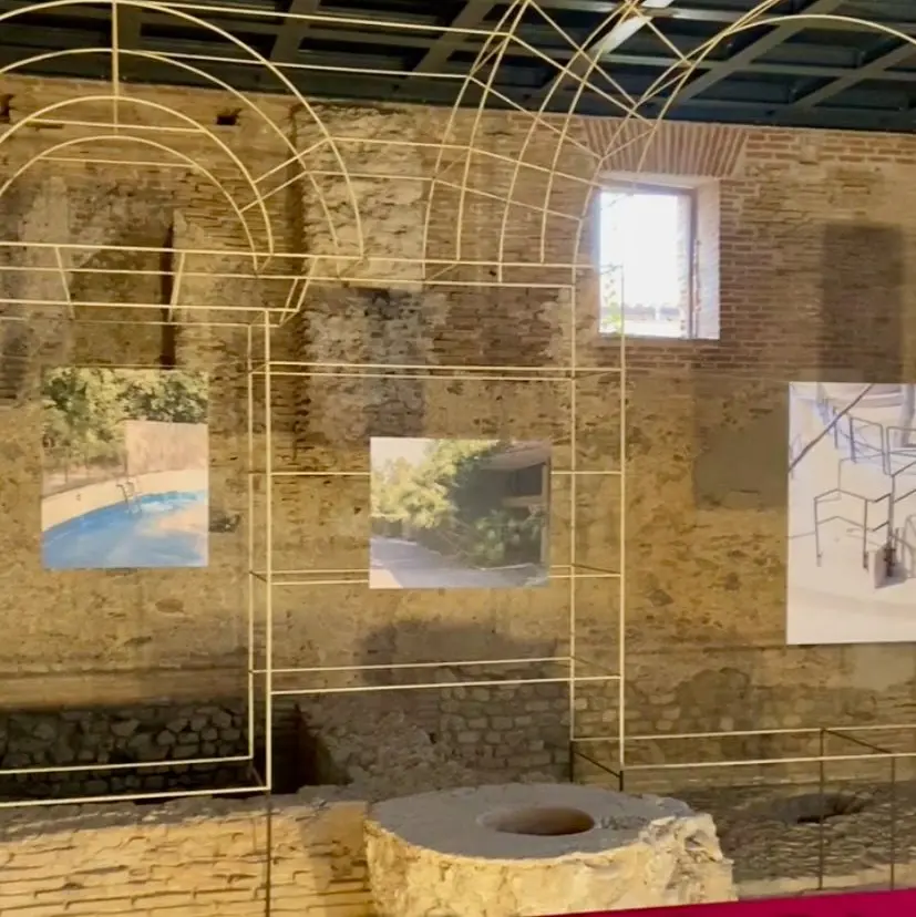 Inaugurata al Museo e Parco Archeologico Nazionale di Locri Epizefiri la mostra “Interno Zoo” di Christian Pardini\n
