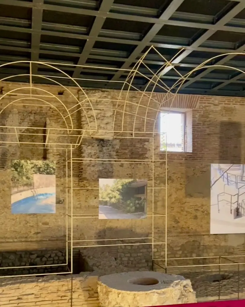 Inaugurata al Museo e Parco Archeologico Nazionale di Locri Epizefiri la mostra “Interno Zoo” di Christian Pardini\n