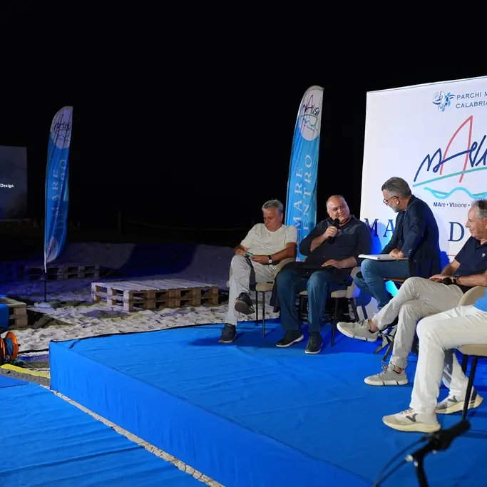 Tartarughe marine, l’appello: «Non compromettere schiuse, proteggere i nidi»\n