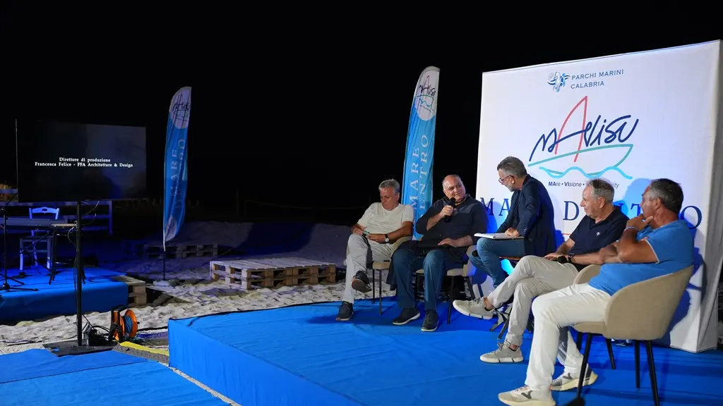 Tartarughe marine, l’appello: «Non compromettere schiuse, proteggere i nidi»\n
