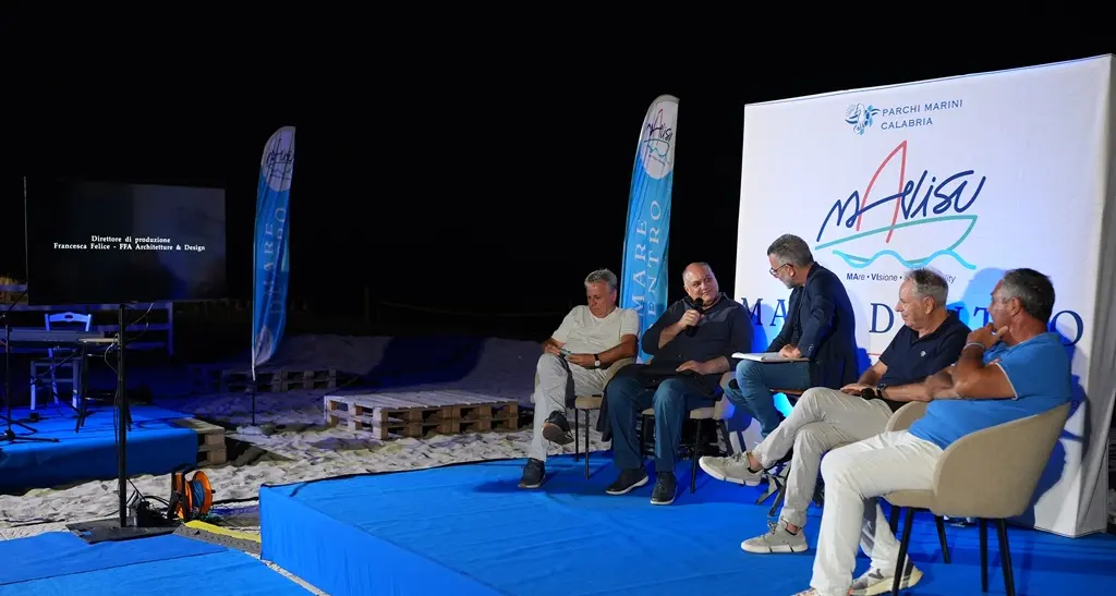 Tartarughe marine, l’appello: «Non compromettere schiuse, proteggere i nidi»\n