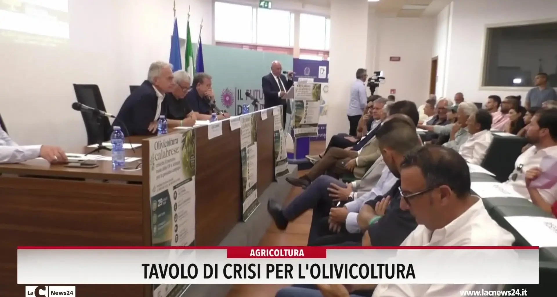 Tavolo di crisi per l'olivicoltura