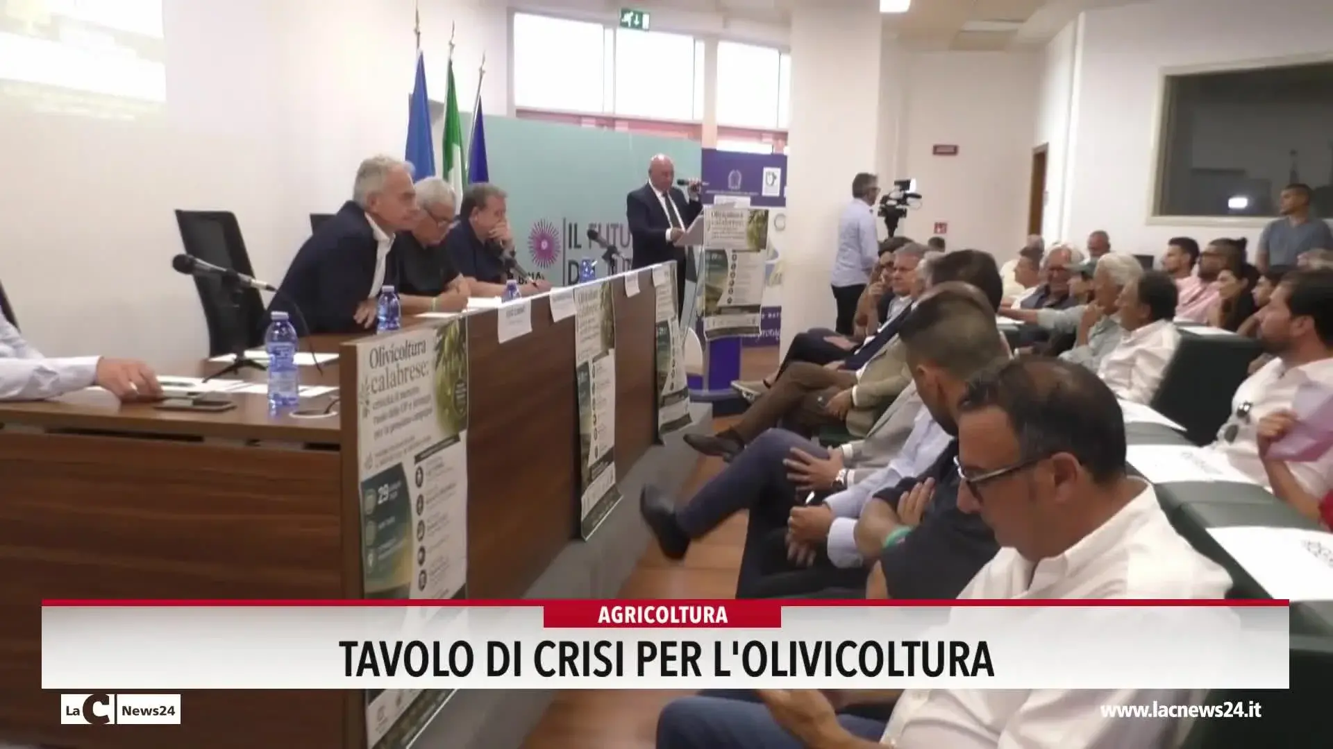 Tavolo di crisi per l'olivicoltura