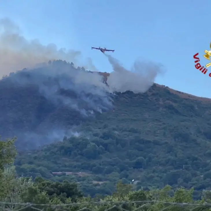 Morano Calabro, un 56enne del posto arrestato in flagranza per il reato di incendio boschivo\n