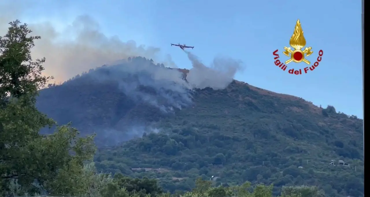 Morano Calabro, un 56enne del posto arrestato in flagranza per il reato di incendio boschivo\n