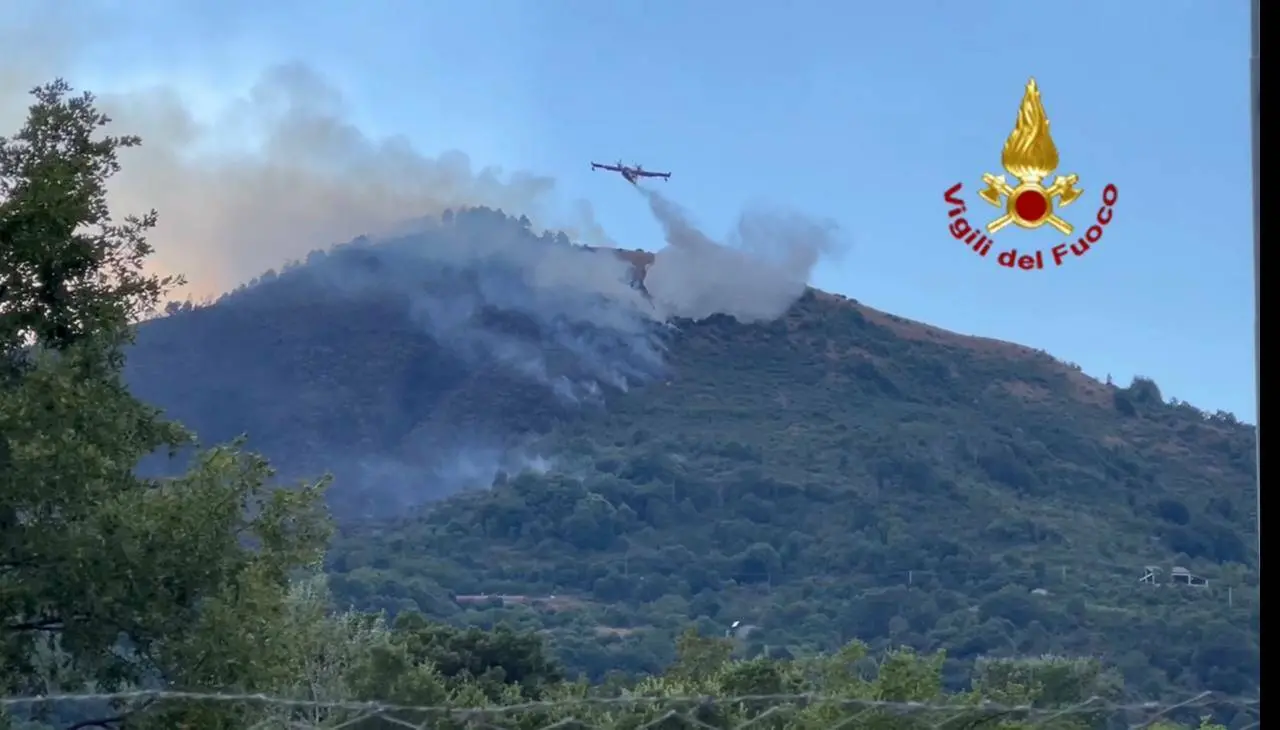 Morano Calabro, un 56enne del posto arrestato in flagranza per il reato di incendio boschivo\n